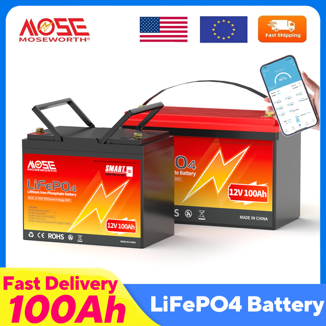 MOSEWORTH LiFePO4 12V 100Ah Pa - Lifepo4 12V 100Ah Bms Bluetooth ulasan dan harga